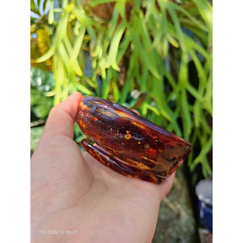 gelang akar Bahar merah kristal (babon)