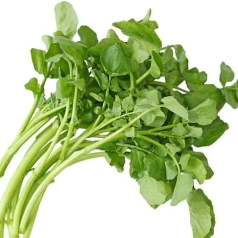 

Salada Air Segar Selada Air Fresh 1 Ikat