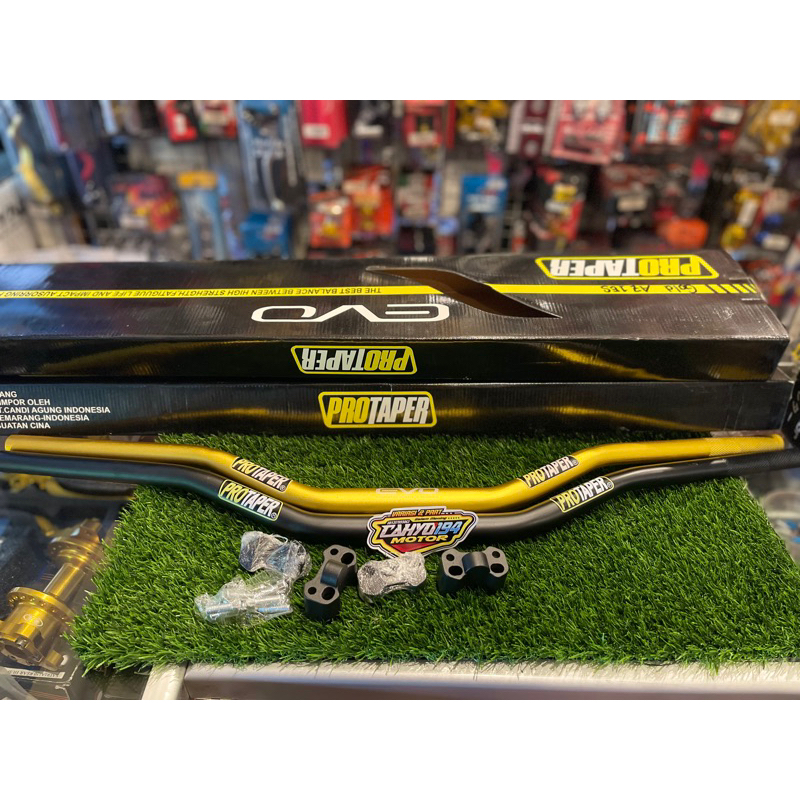 stang protaper evo model fatbar set raiser