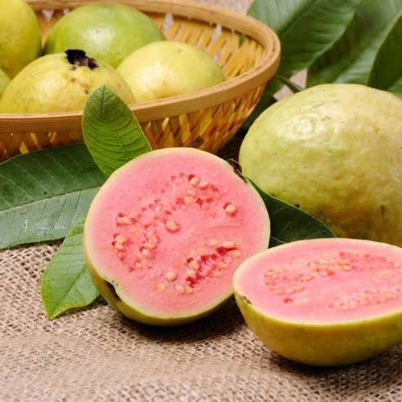 

Jambu Biji Merah 1kg