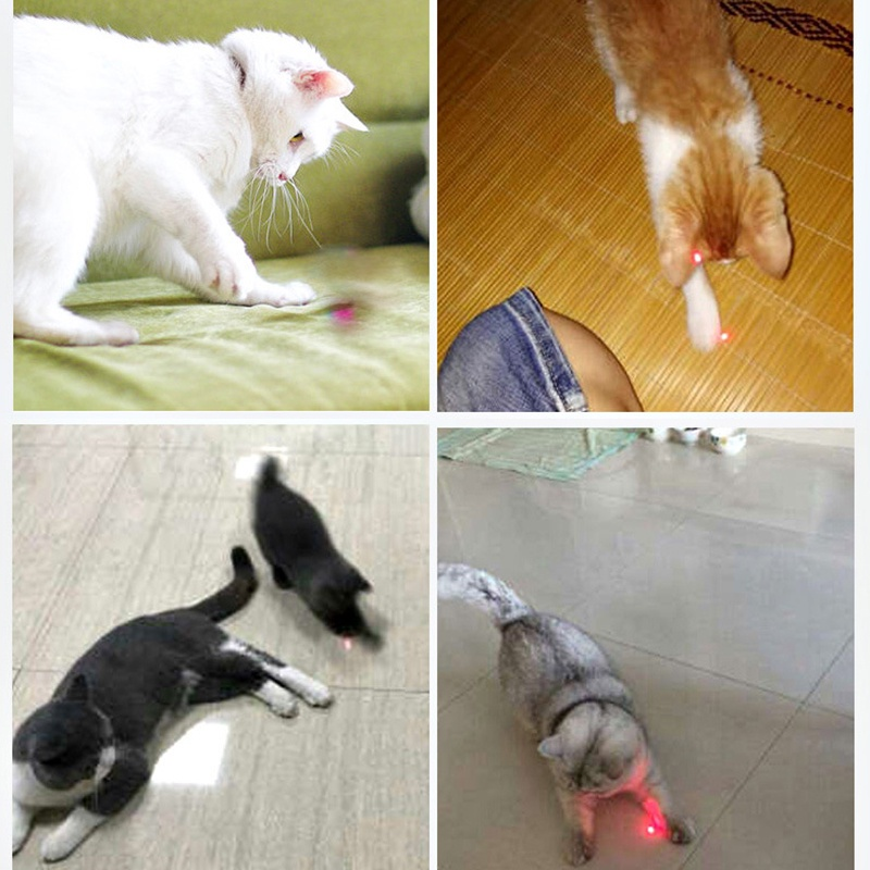 Mainan Kucing Laser Cat Toys Laser Pointer Kucing Anjing