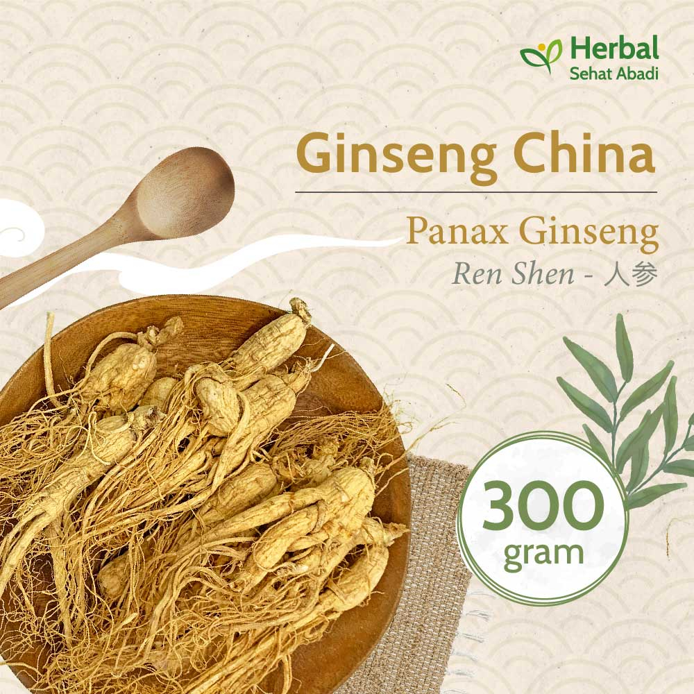 

Panax Ginseng 300 gram (人参) / Ginseng China