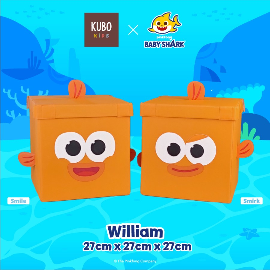 KUBO KIDS WILLIAM 27 X 27 X 27 CM Kotak Penyimpanan