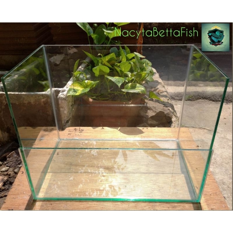 Paludarium Tank Ukuran 40x25x30