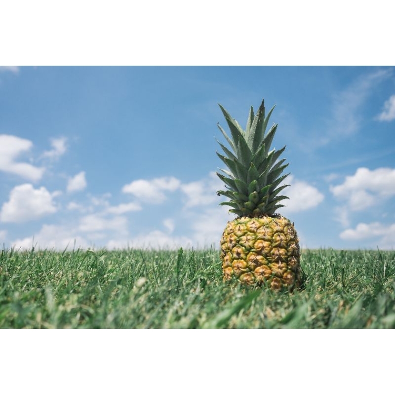 

Nanas Palembang kupas parut 1 buah