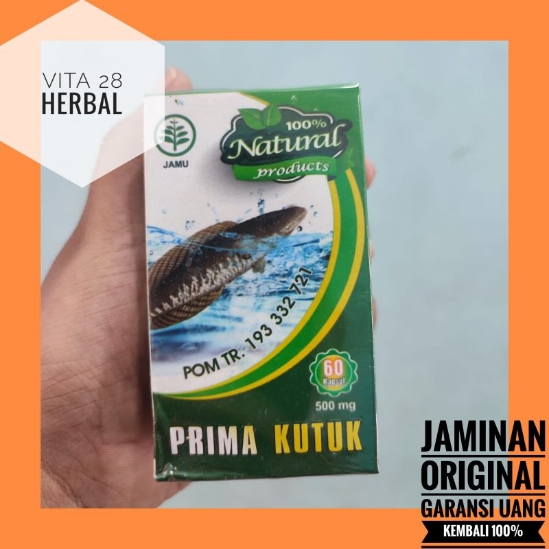 KAPSUL EKSTRAK IKAN KUTUK PRIMA KUTUK ORIGINAL ISI 60 KAPSUL ALBUMIN