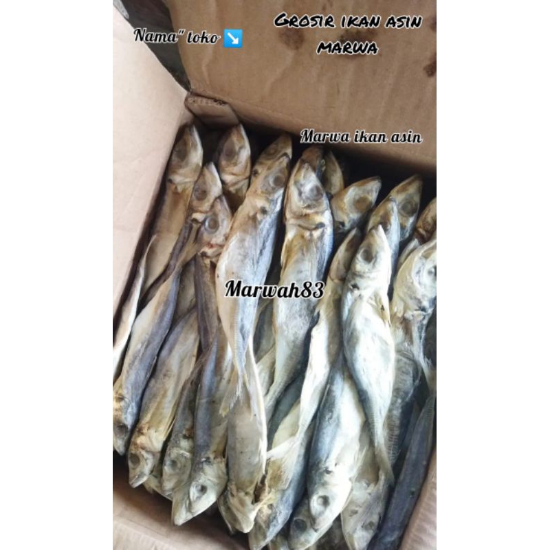 

ikan asin japuh layang ikan asin tdk banyak duri nya.. berkualitas harga murah 1kg