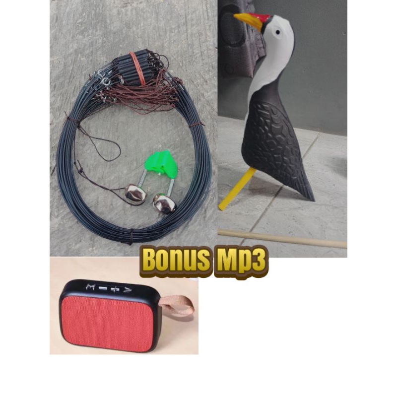 BONUS MP3  SATU SET RACIK RUAK RUAK PEMIKAT BURUNG KAREO