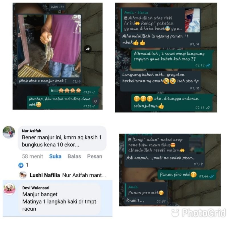 

MAO WANG BERAS MERAH ORI