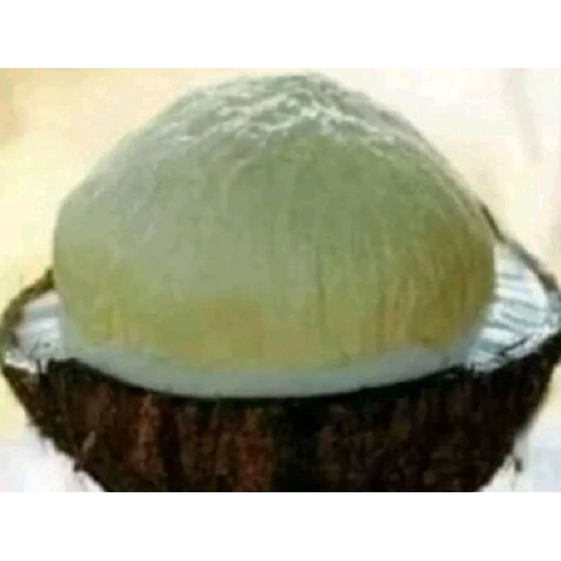 

kentos kelapa premium