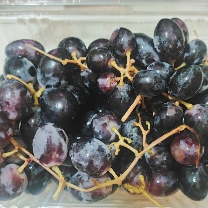 

Anggur Hitam Seedless ¼kg Buah Segar Anggur Black Autum Australia