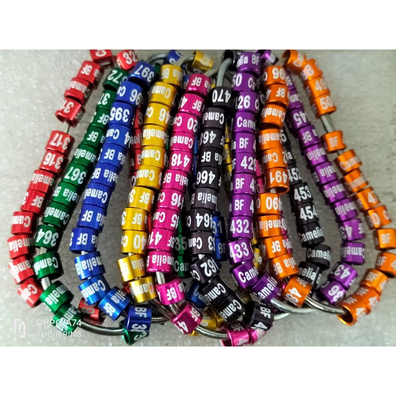 RING BURUNG LASER PERKUTUT MURAI Lovebird KENARI MERPATI