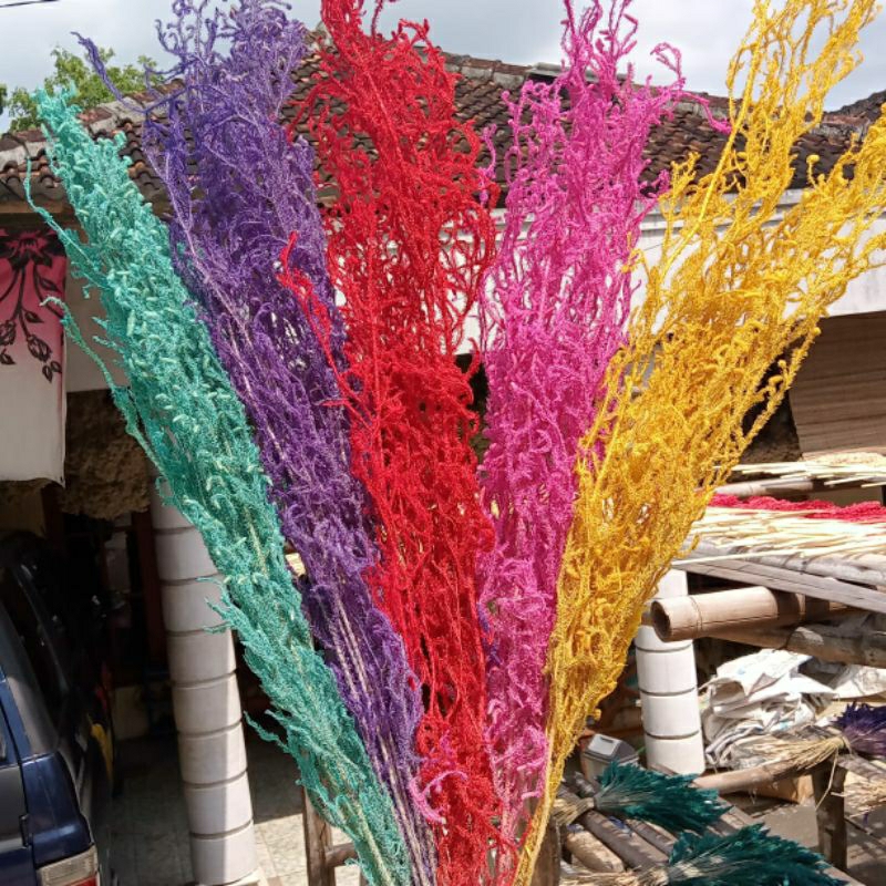 Ranting Paku bunga kering hiasan bahan buket