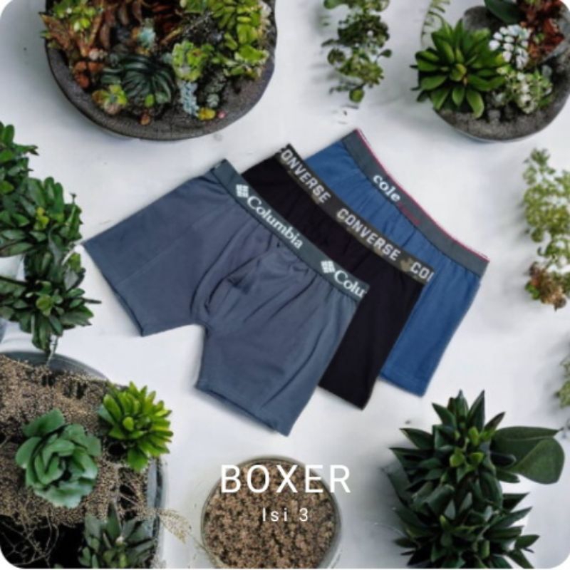 Sempak pria boxer