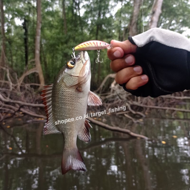 Minnow UL Lidah Panjang 7cm 6gr - Umpan Casting Ultralight Minow