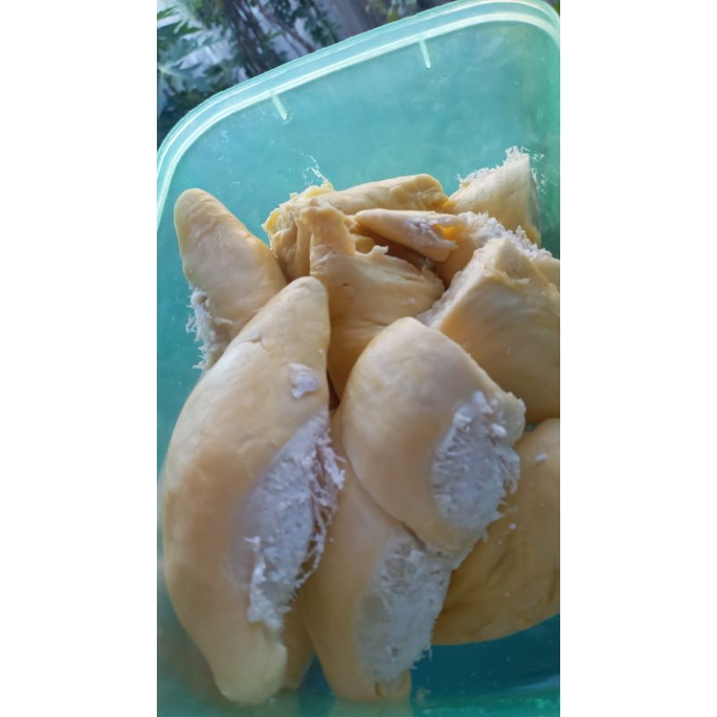

durian 500gr