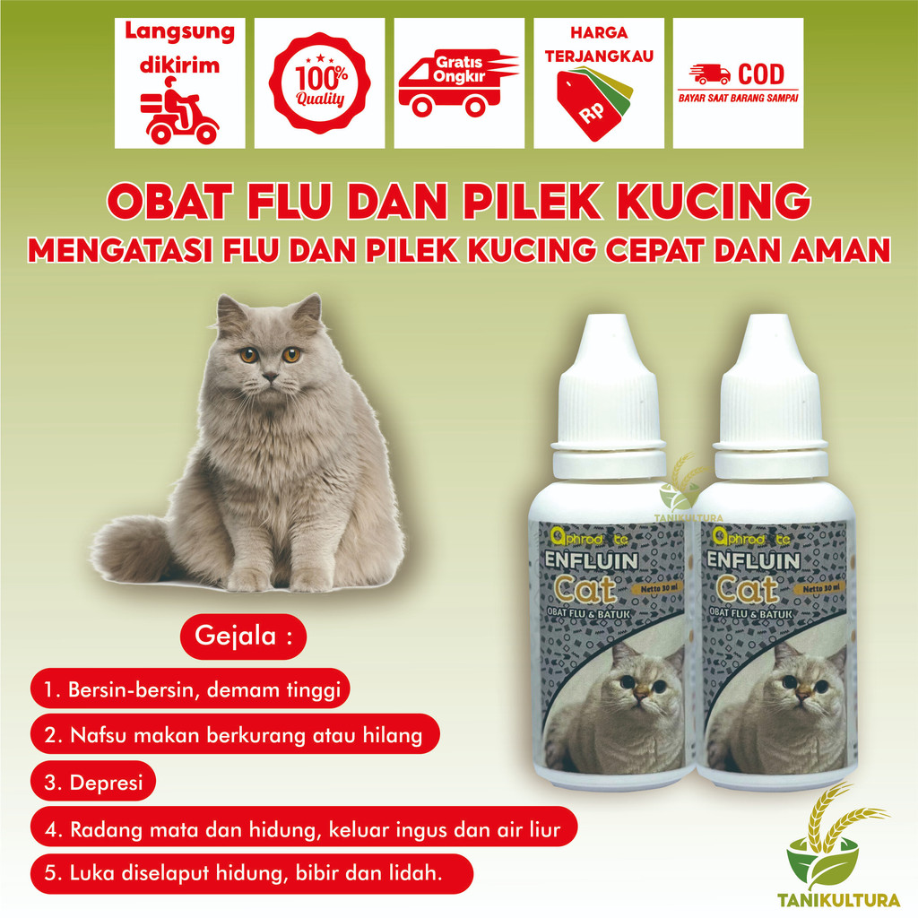 Obat Flu dan Pilek Kucing Terbaik Anti Bersin dan Ingusan Paling Ampuh Obat Batuk Dan Flu Berat