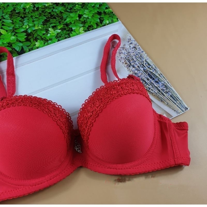 Bra Bh Beha Abg Remaja Kawat Busa Tebal Beha Remaja Kancing Kait 2 Cup A Push Up Bra