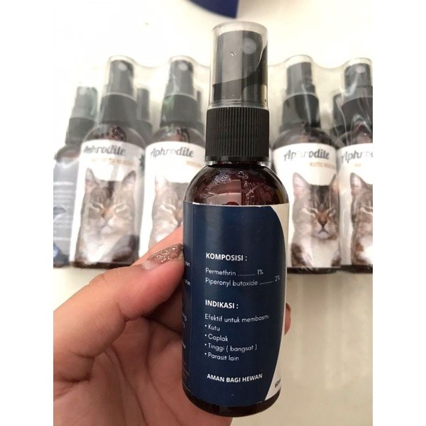RK Obat Kutu Kucing Spray Ampuh Mengatasi Kutu Dan Telur Kutu Semprot Aman Jika Terjilat Kucing