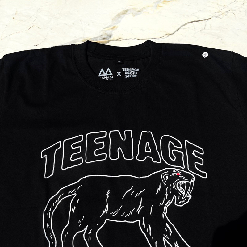 Teenage Death Star - 21 St Century Boy