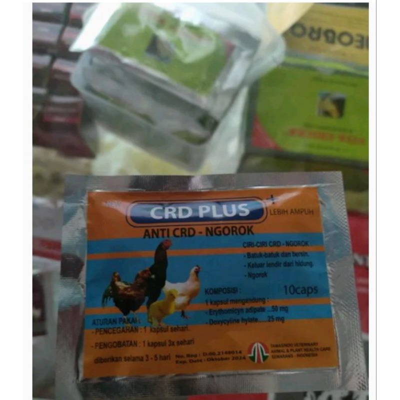 obat ayam snot pilek