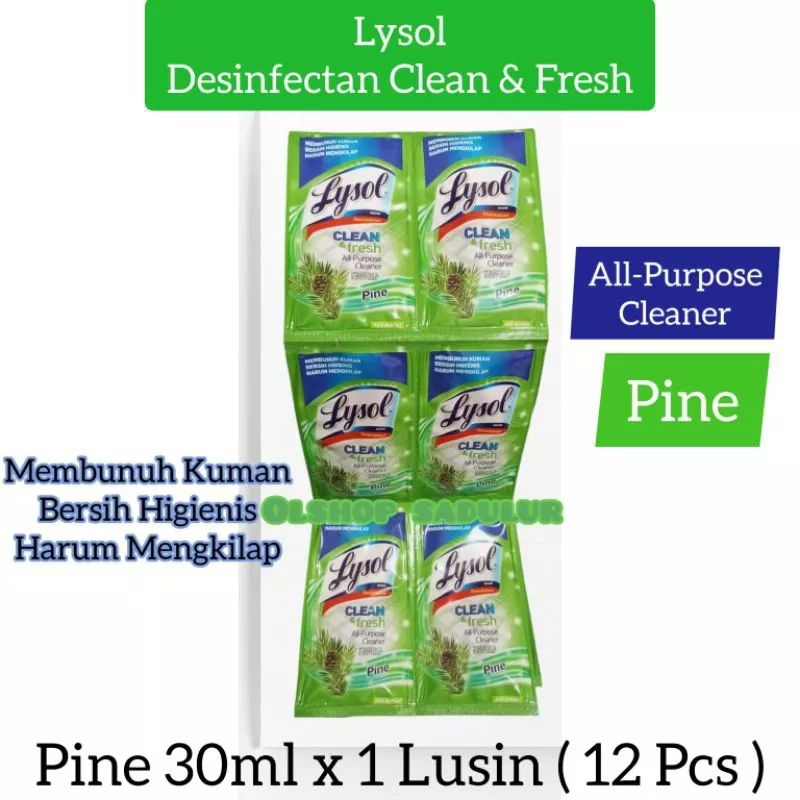 Lysol All Purpose Cleaner Pine - 30ml ( 12 Pcs )