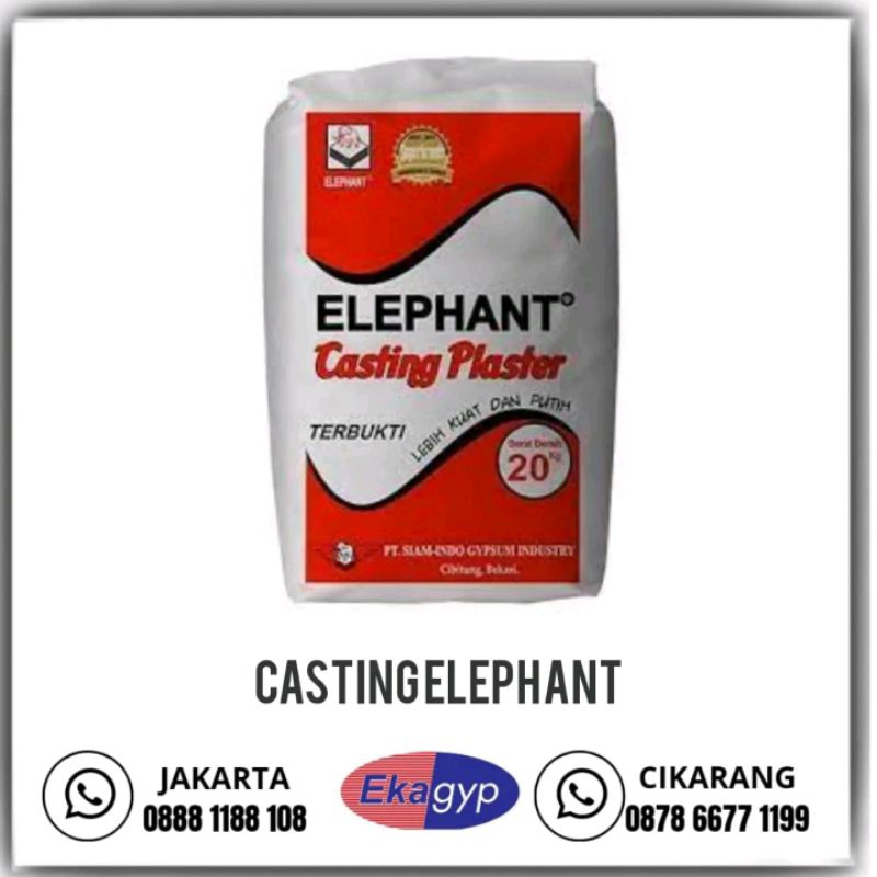 Casting Gypsum elephant