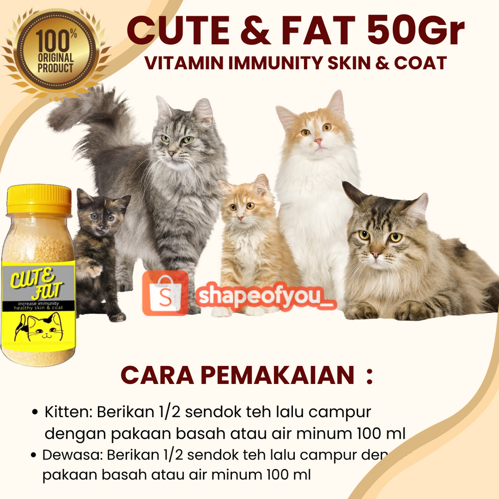 Vitamin Penggemuk dan Bulu Kucing Penumbuh Bulu Kucing Pelebat Bulu Obat Bulu Kucing Rontok Cute Fat