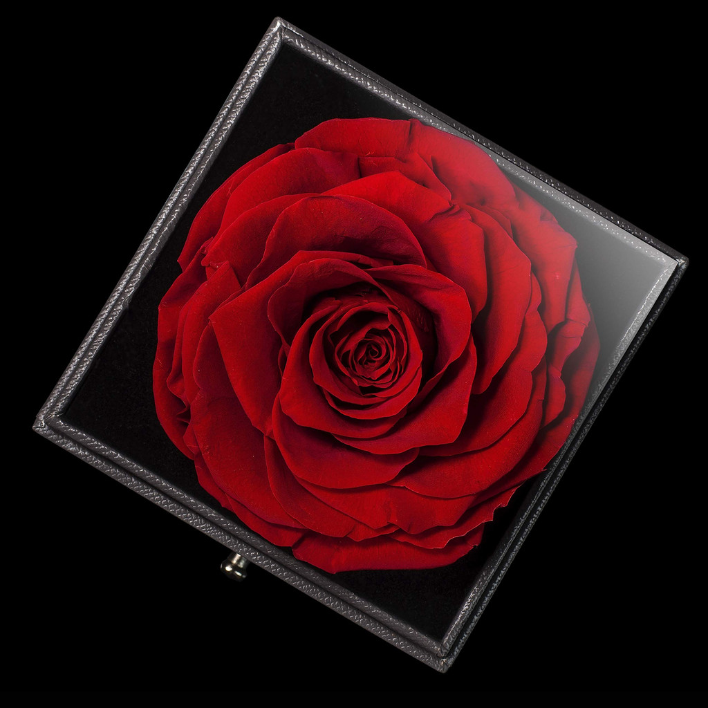 Hadiah Untuk Cewek Mawar Abadi yang Diawetkan Selamanya Tulang selangka berbentuk hati with kalung Rose dalam Kotak Cinta Terbuat dari Mawar Kecantikan Segar Sejati - Kado Romantis untuk Wanita, Wanita, Ibu
