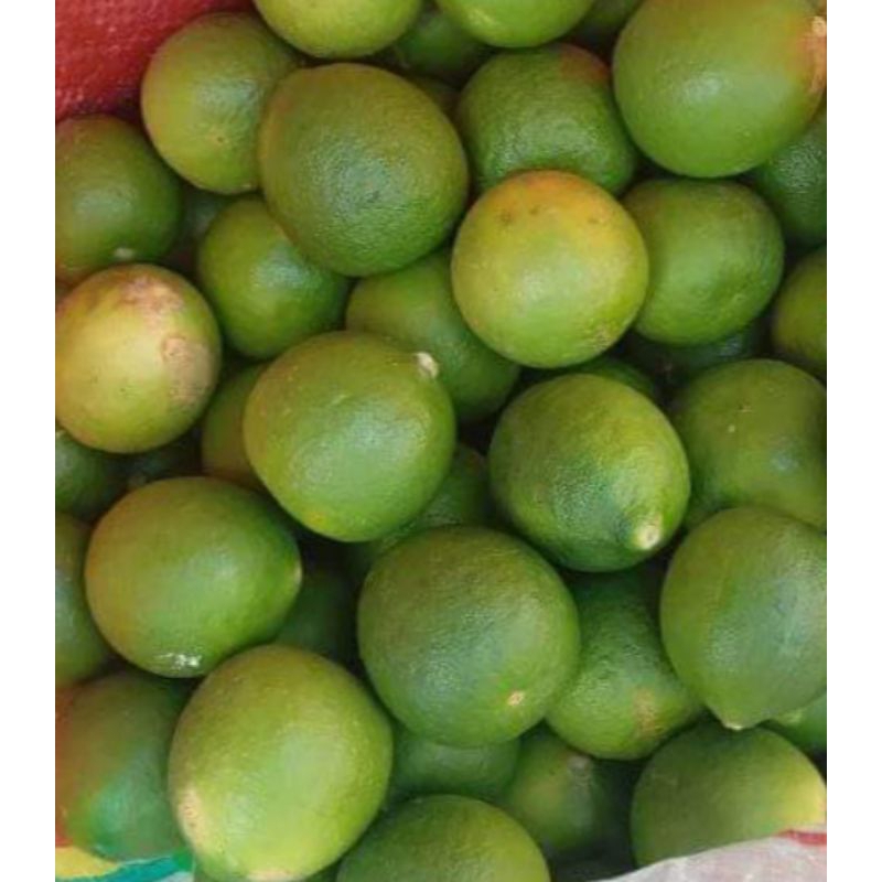 

JERUK NIPIS FRESH 1 Kilo Hanya 15.000. Asli dari Petani Asli.