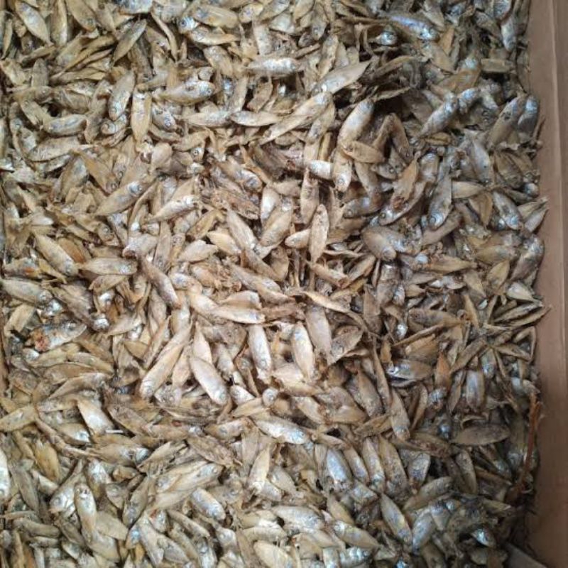 

Ikan Asin Teri Dangdut Tapis Semadar 250 gram