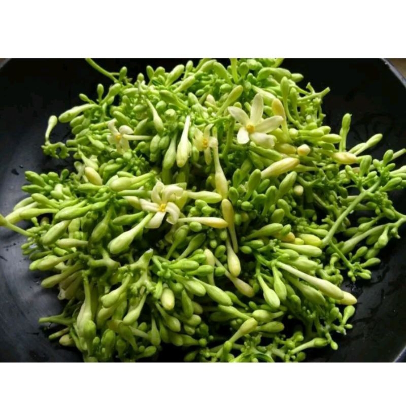 

bunga pepaya 250gr