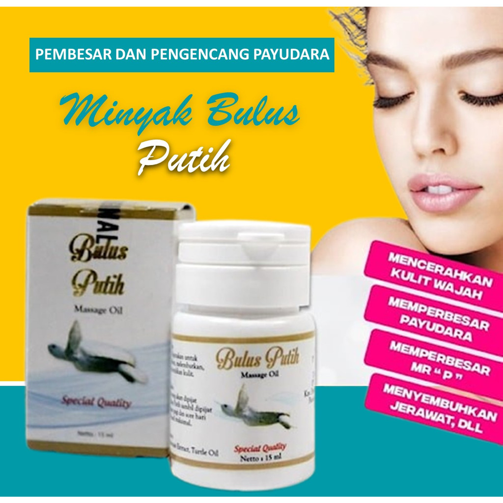 Obat Pembesar Payudara Ampuh Permanen Breast Minyak Bulus Pengencang Payudara yg Kendur BPOM