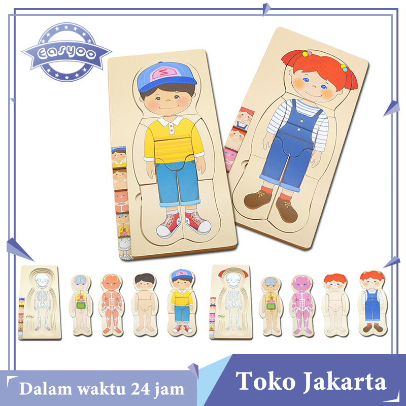 Promo 3D Human Body Multilayer Puzzle Human Body Structure Wooden Puzzle Toy Mainan Edukasi Anatomi