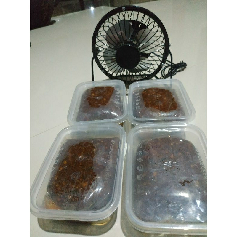 

Bumbu Pecel atau Bumbu kacang