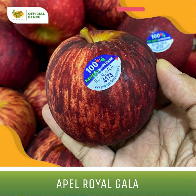 

APEL ROYAL GALA IMPORT