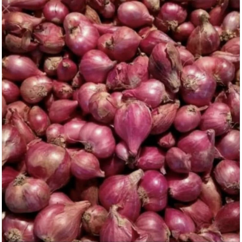 

Bawang merah brebes 1kg