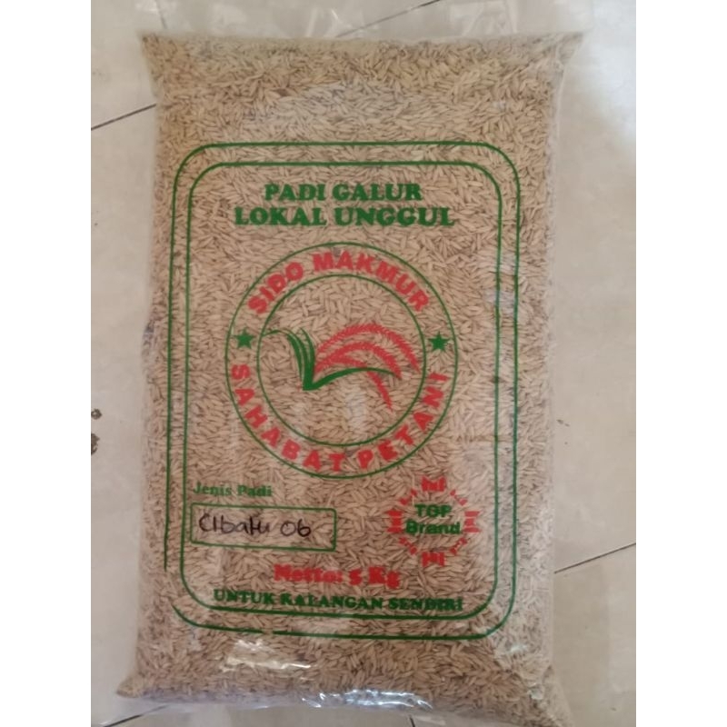benih padi cibatu 06 @5 kg