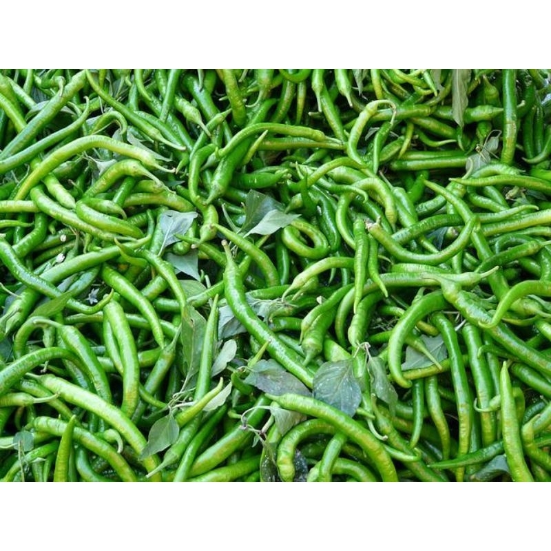

Cabai Hijau Keriting Fresh 1 kg