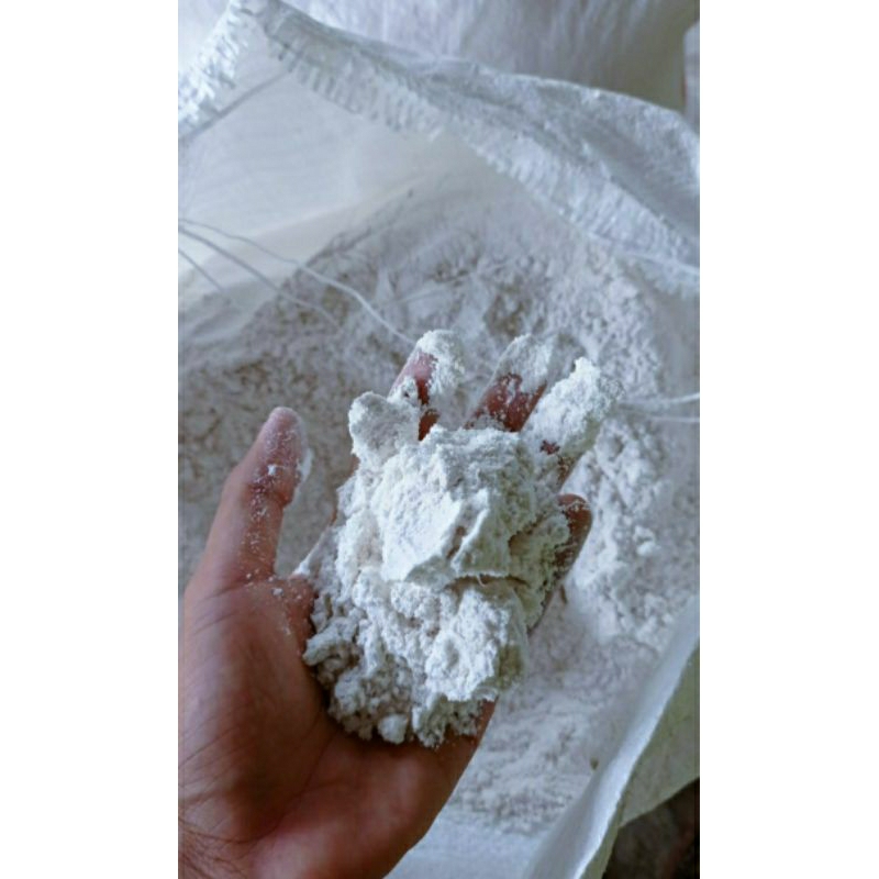 

Tepung Mocaf/Tepung Singkong asli proses perendaman