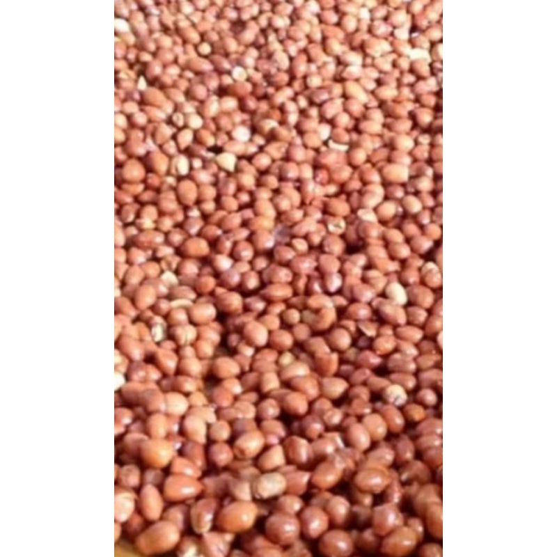 

kacang tanah goreng 500 gr