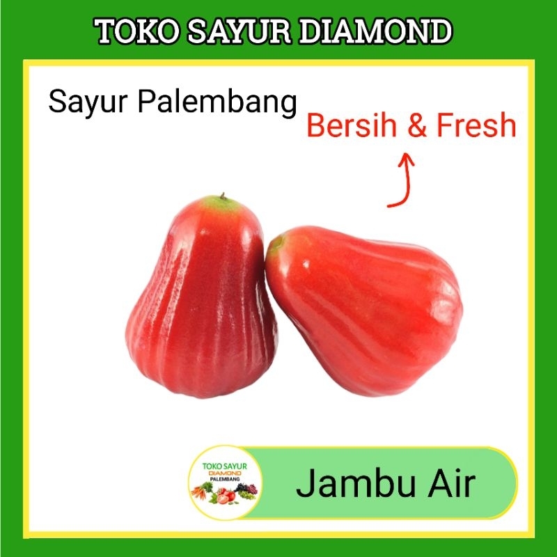 

Buah Jambu Air - Buahan Segar Fresh Online Palembang