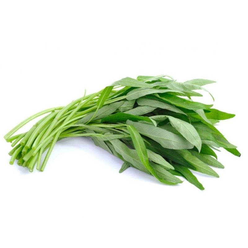 

Kangkung fresh perikat