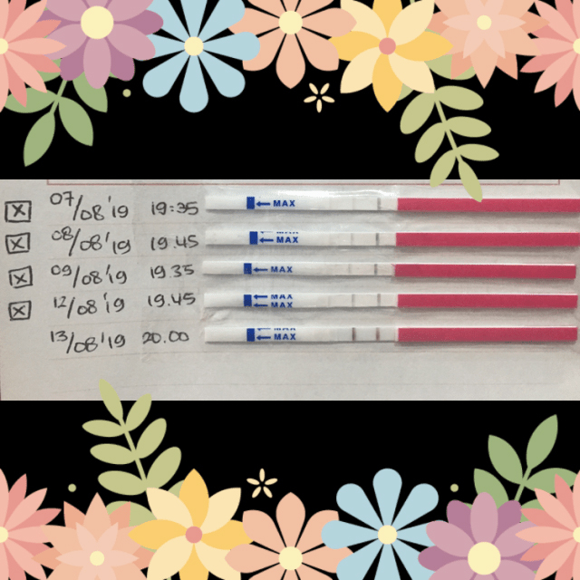 20 Pcs Tes Masa Subur One Health/ Cek Kesuburan 20 pcs Ovulation LH Test PINK Onehealth