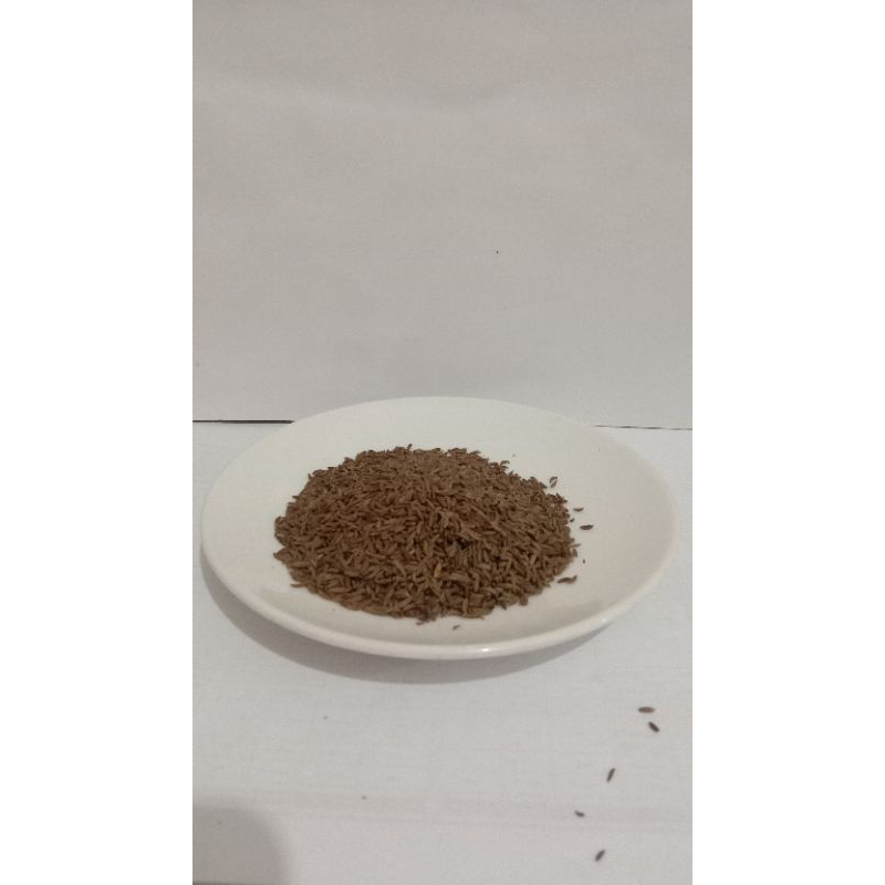 

JINTEN/caraway bumbu masakan