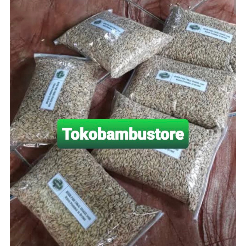 Benih padi lokal benih padi langka 1 kg-az