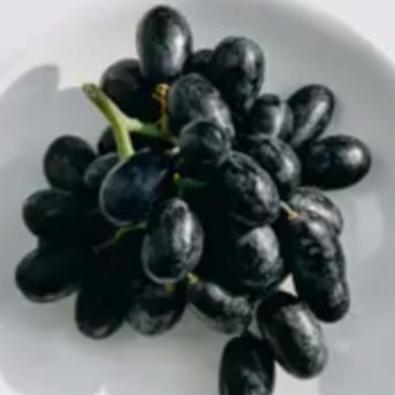 

Buah Anggur Hitam Seedless Tanpa Biji Buah Segar Mpasi Bayi