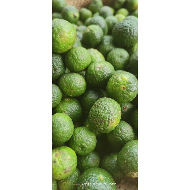 

Jeruk limo Jeruk limau