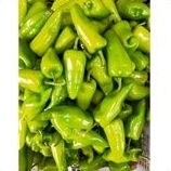 

cabe besar hijau pontianak