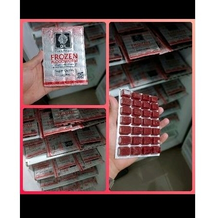 cacing beku kapsul non air 28 cube cacing beku tray bloodworm ak 1kg cacing merah beku kapsul non ai